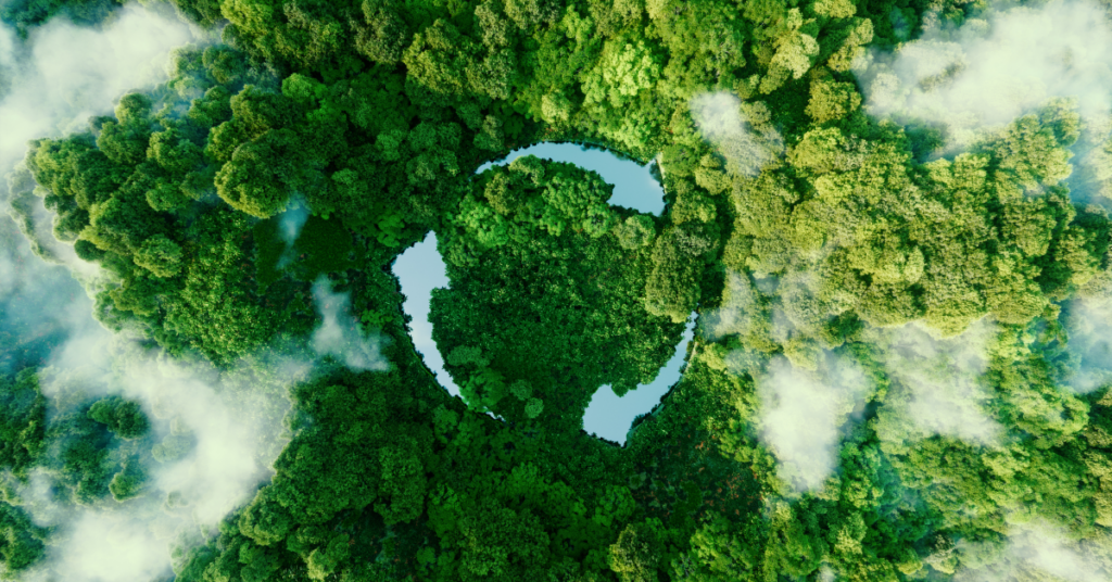 bird's eye view of a forest with the recycling symbol